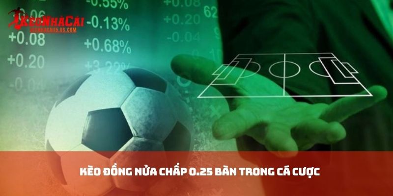 Kèo đồng nửa chấp 0.25 bàn trong cá cược
