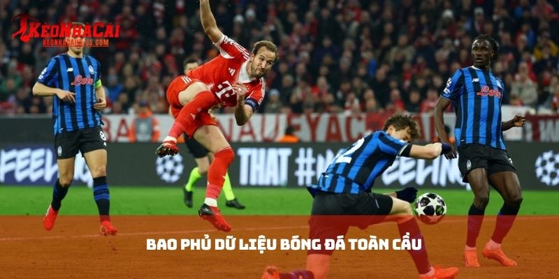 Bao phủ dữ liệu bóng đá toàn cầu