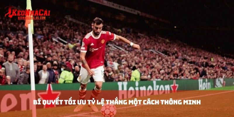 Bí quyết tối ưu tỷ lệ thắng một cách thông minh