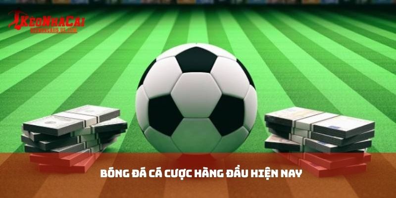 Bóng đá cá cược hàng đầu hiện nay