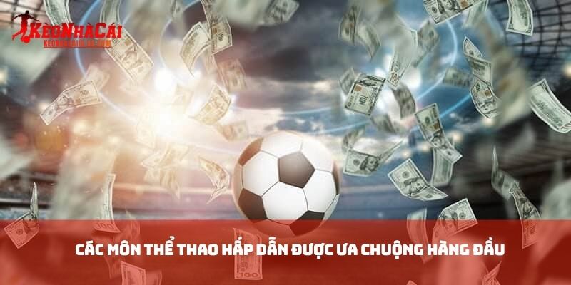 Các môn thể thao hấp dẫn được ưa chuộng hàng đầu