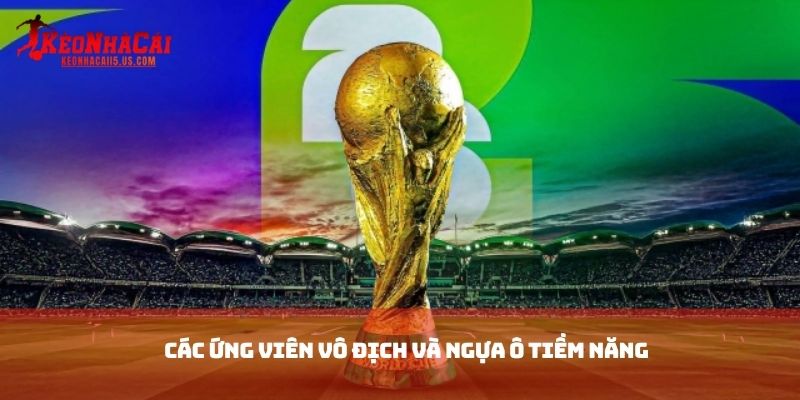 Các ứng viên vô địch và ngựa ô tiềm năng