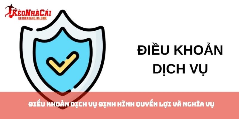 Điều khoản dịch vụ định hình quyền lợi và nghĩa vụ