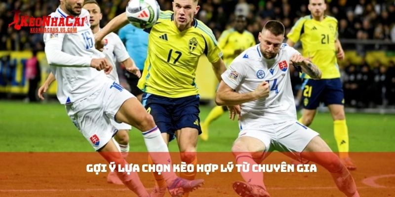 Gợi ý lựa chọn kèo hợp lý từ chuyên gia