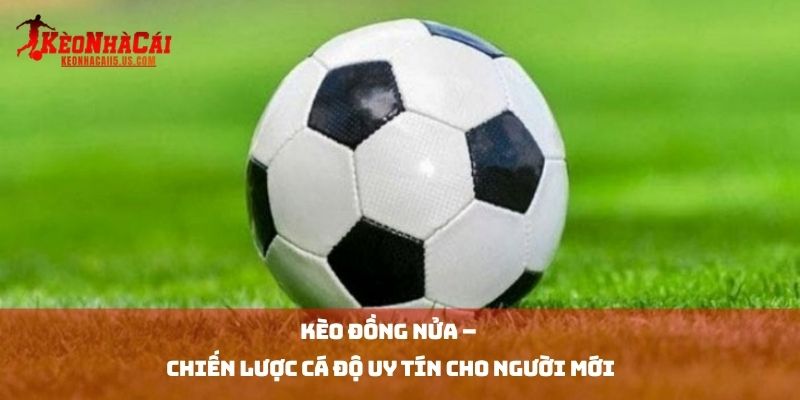 Kèo Đồng Nửa – Chiến Lược Cá Độ Uy Tín Cho Người Mới