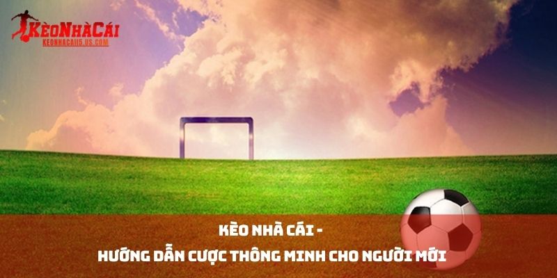 Kèo Nhà Cái - Hướng Dẫn Cược Thông Minh Cho Người Mới