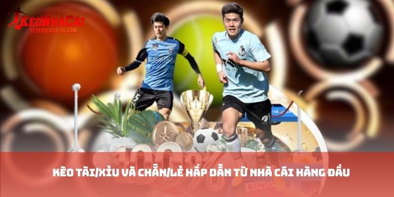 Kèo Tài/Xỉu và chẵn/lẻ hấp dẫn từ nhà cái hàng đầu