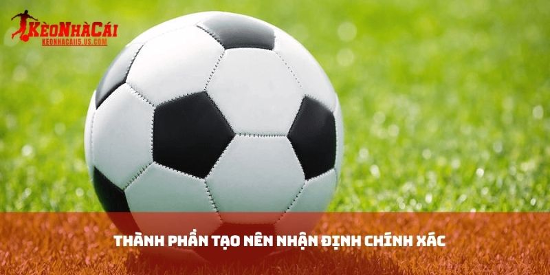 Thành phần tạo nên nhận định chính xác