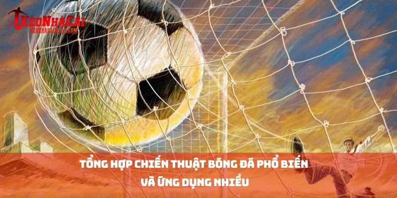 Tổng Hợp Chiến Thuật Bóng Đá Phổ Biến Và Ứng Dụng Nhiều