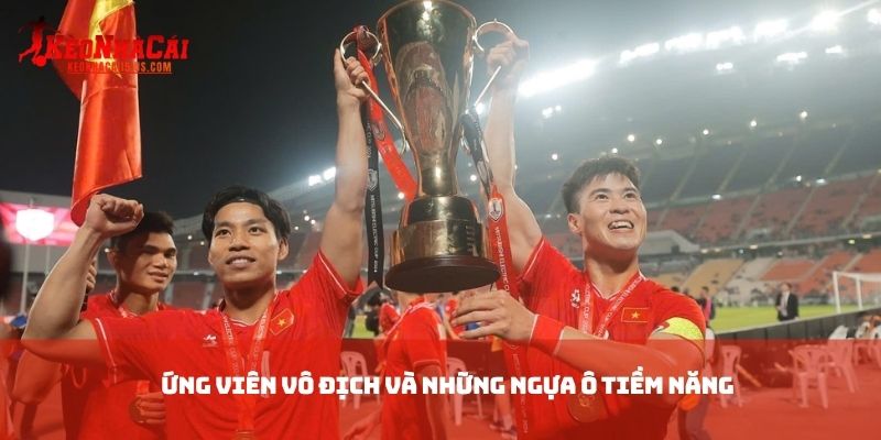 Ứng viên vô địch và những ngựa ô tiềm năng